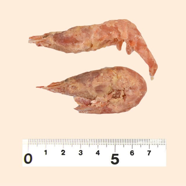 Âѓg