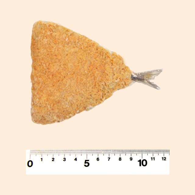 tC