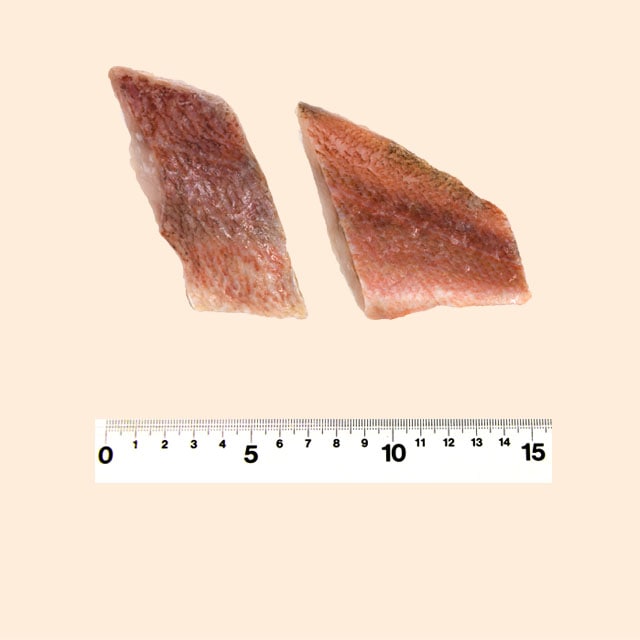 株 ショクカイ赤魚切身 骨取 無塩 肉 魚 野菜安心食材を低価格で 全国規模の業務用食品卸 株 ショクカイ 株 ショクカイ赤魚切身 骨取 無塩 肉 魚 野菜安心食材を低価格で 全国規模の業務用食品卸 株 ショクカイ
